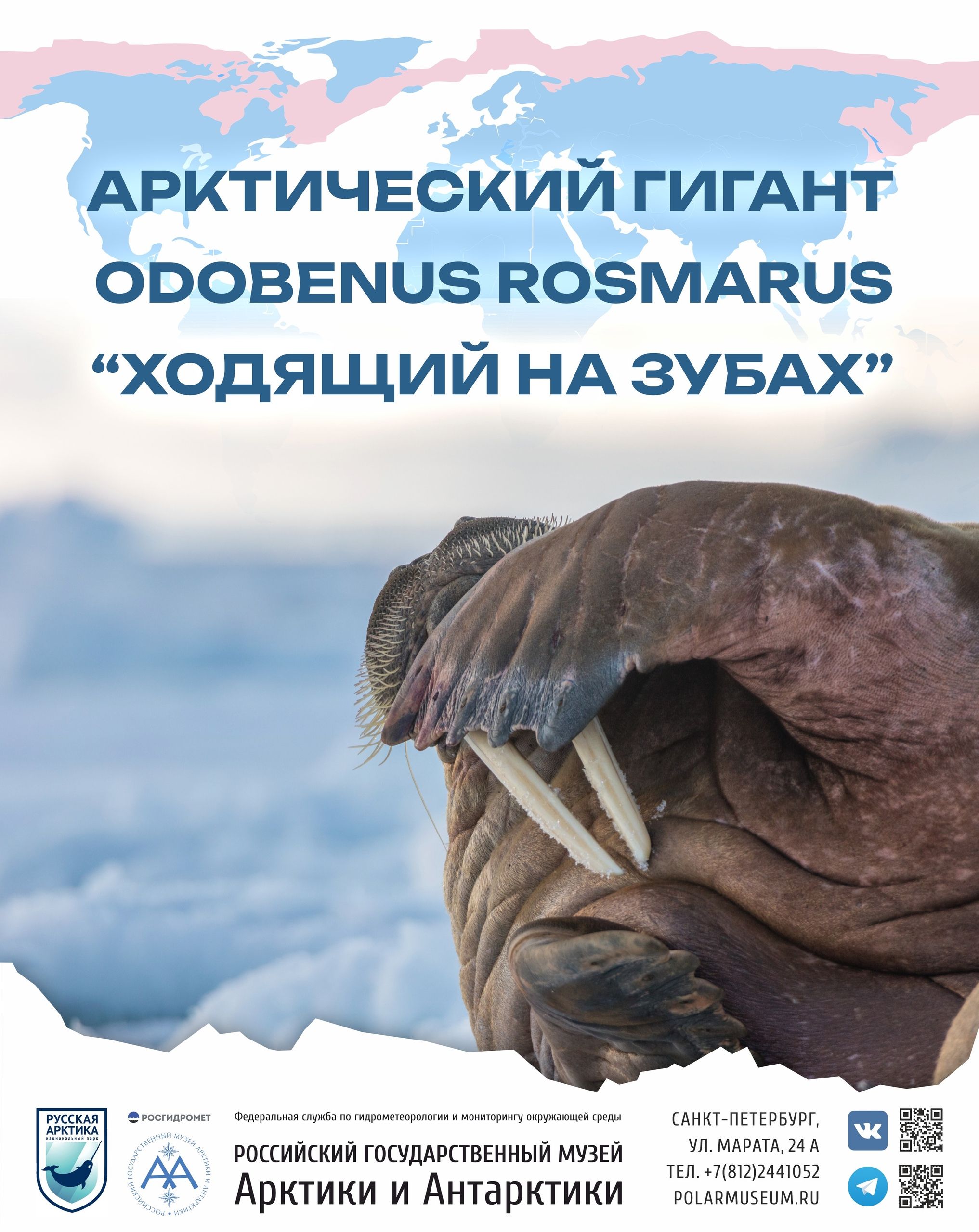 exhibition-archive-image